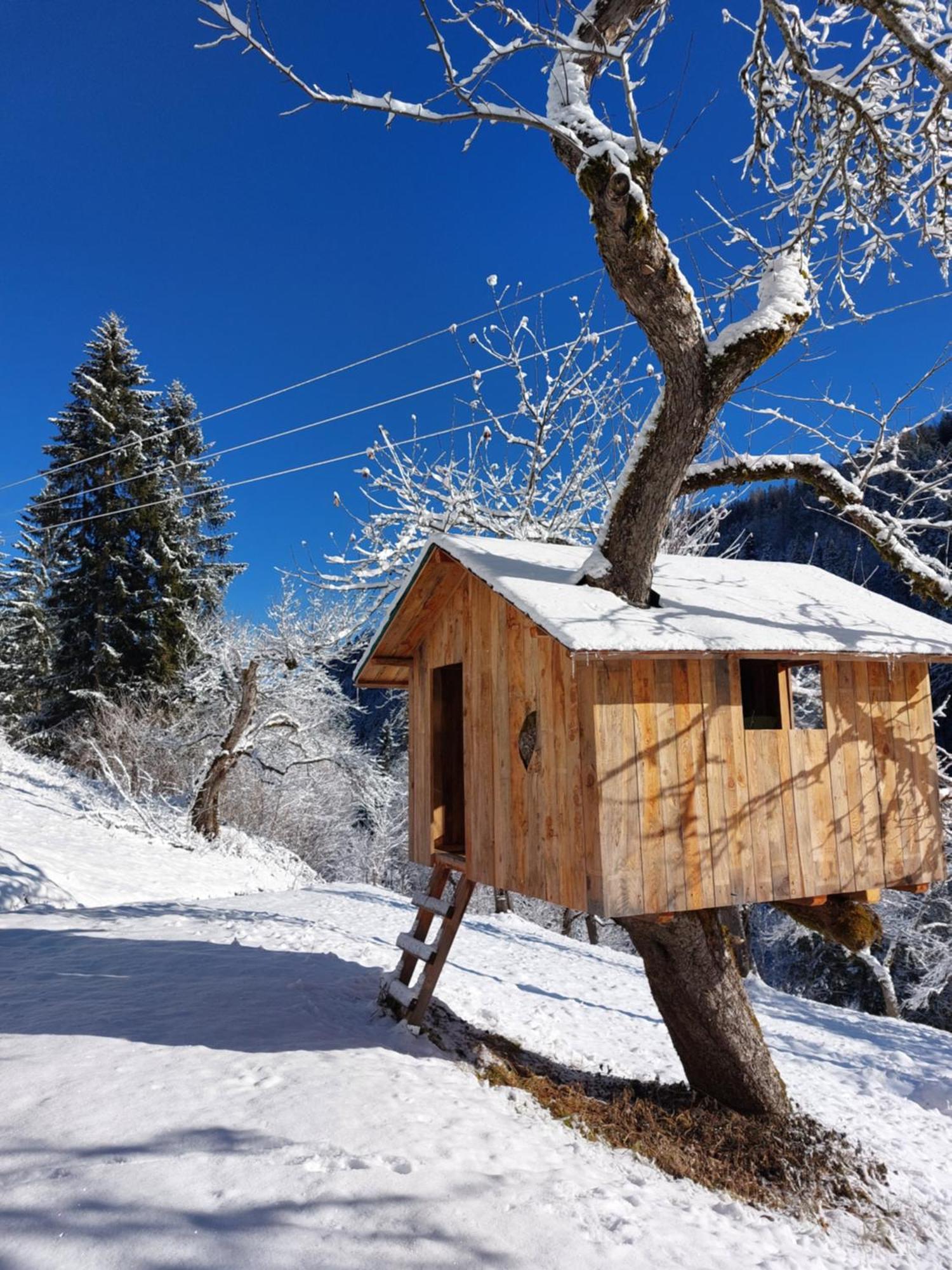 Landhaus Gruenjuwel Himmelberg Ngoại thất bức ảnh
