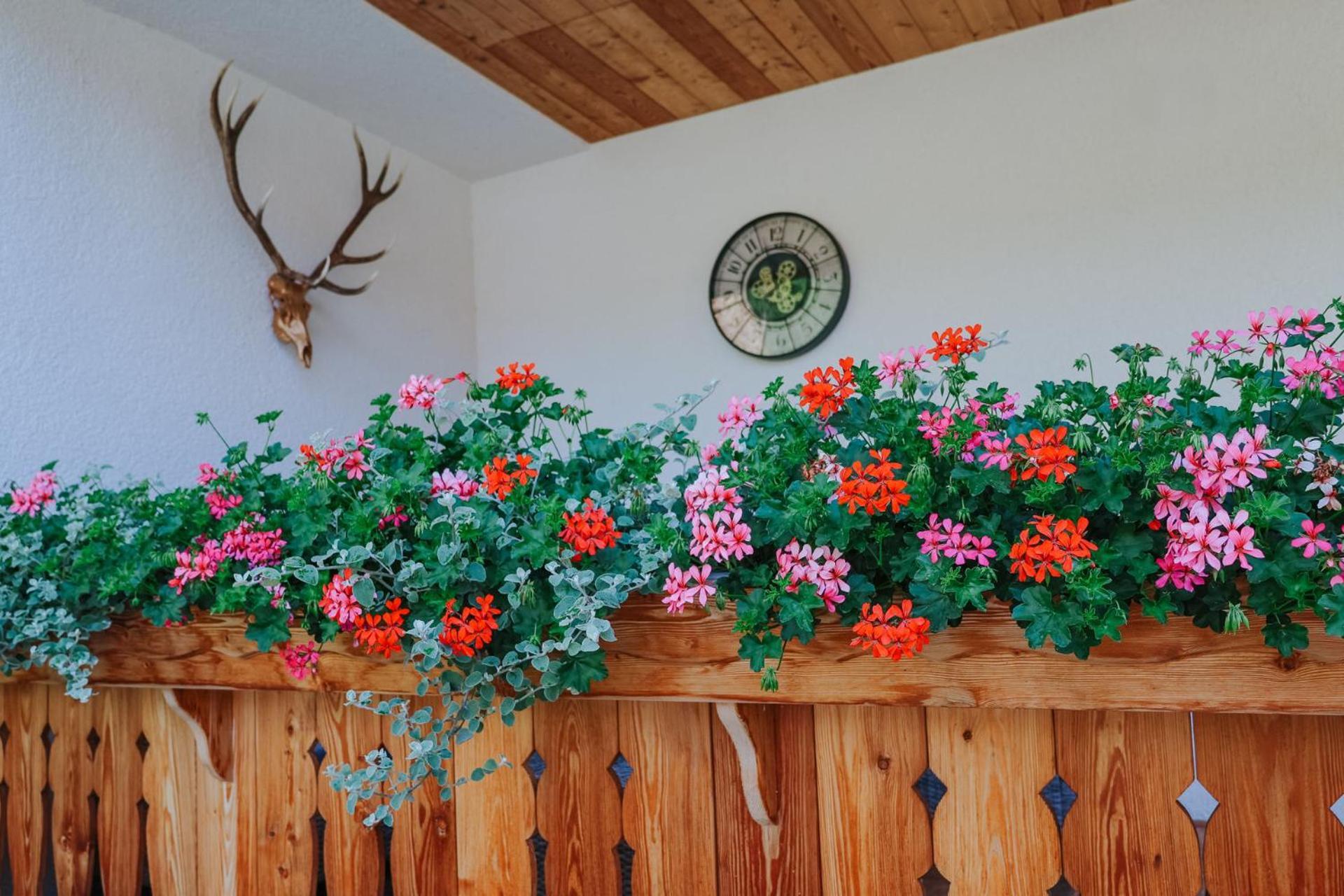 Landhaus Gruenjuwel Himmelberg Ngoại thất bức ảnh